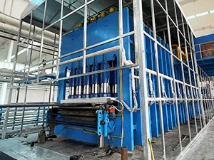 Vulcanizing press